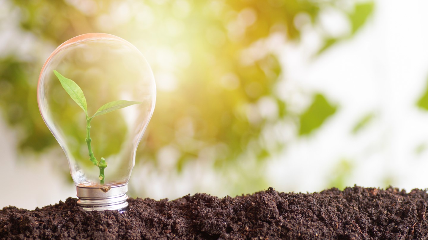 ESG in ABS Update TwentyFour Asset Management